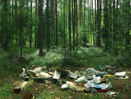 Wakacje z widokiem na śmieci? Polska w cieniu dzikich wysypisk