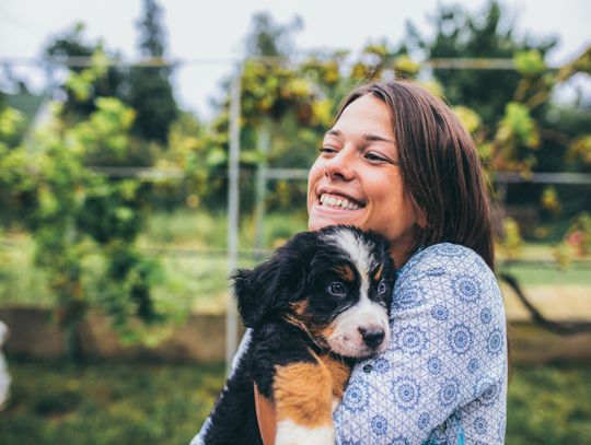 Weekend Adopcji TOZ i Mars Polska: daj miłość, zyskaj miłość