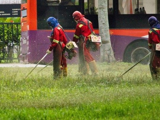 Wpływ stosowania pestycydów na zdrowie ludzi i środowisko