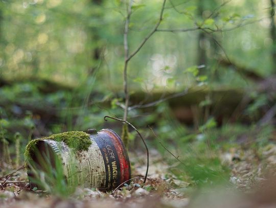 Wypoczynek, przyroda i śmieci. Oto dlaczego tereny zielone toną w odpadach