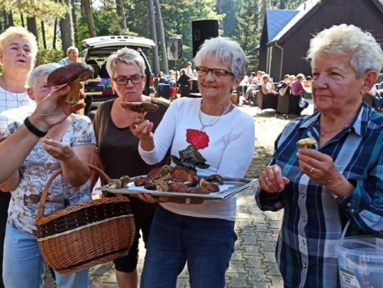 Wyprawa w poszukiwaniu grzybów