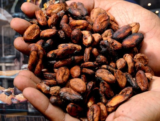 Wzrosty cen kakao na światowych giełdach szybko się nie zatrzymają. Wkrótce Polacy mocniej to odczują