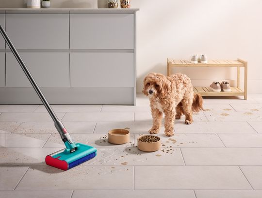 Z badania przeprowadzonego przez firmę Dyson wynika, że większości z nas zależy na czystych domach, ale nieświadomie sprawiamy, że nasze podłogi stają się jeszcze brudniejsze