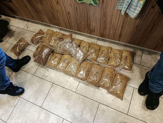 Zachodniopomorska KAS zatrzymała nielegalny tytoń w Wałczu