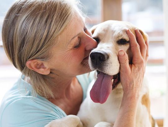 Zadbaj o zdrowie pupila – kiedy sięgnąć po karmy specjalistyczne i suplementy