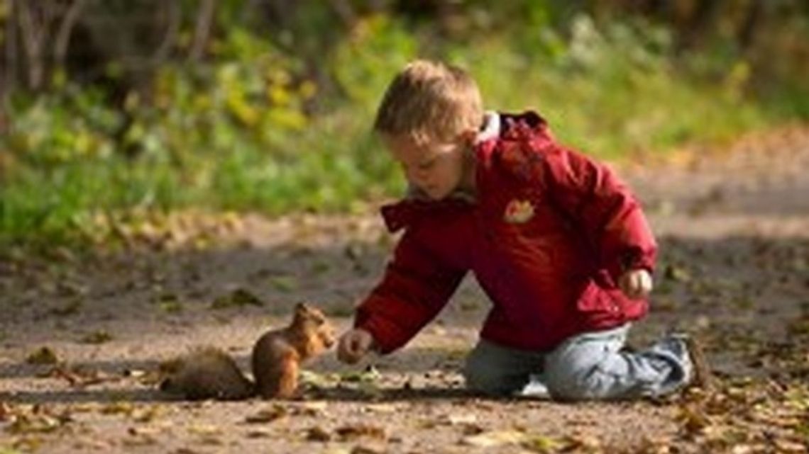 260 przedszkoli w województwie zachodniopomorskim uczy dzieci jak dbać o naturę 