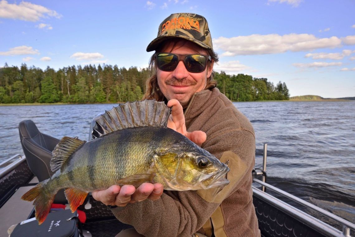5 najczęstszych hobby najbogatszych ludzi na świecie