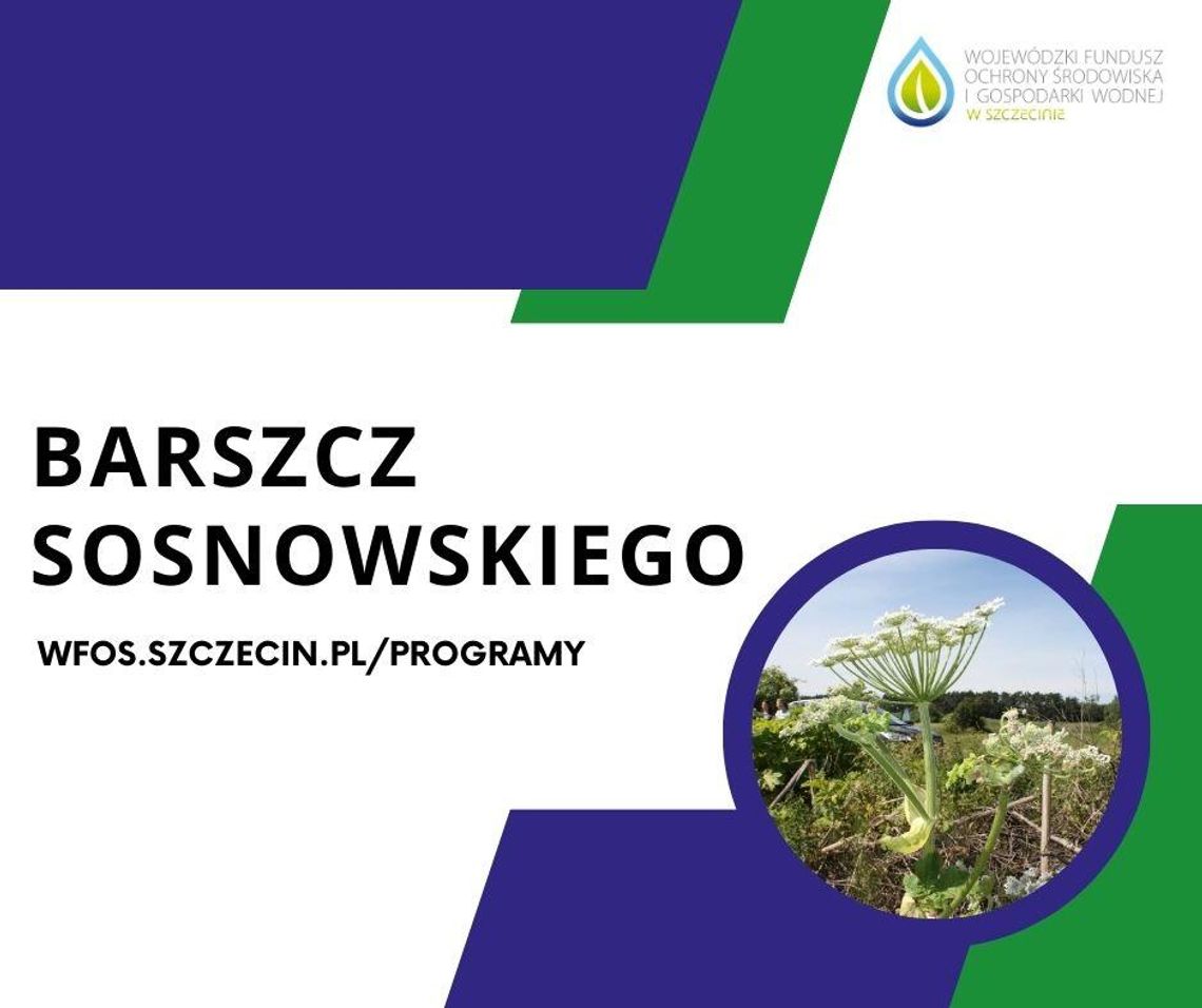 6,5 mln zł na edukację ekologiczną, ochronę przyrody i usuwanie groźnej rośliny 6,5 mln zł na edukację ekologiczną, ochronę przyrody i usuwanie groźnej rośliny