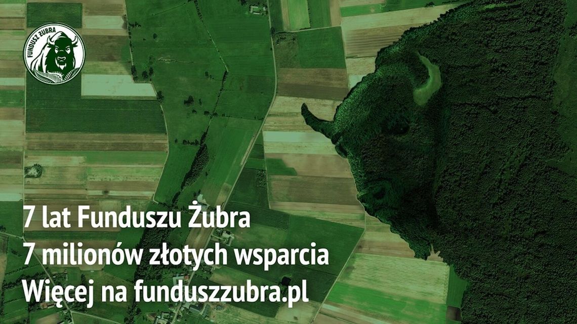 7 lat Funduszu Żubra: 7 mln zł dla przyrody i zagrożonych gatunków 7 lat Funduszu Żubra: 7 mln zł dla przyrody i zagrożonych gatunków