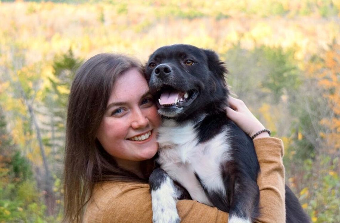 „Adoptuj z miłością” – wspólna akcja Maxi Zoo i schronisk trwa. „Adoptuj z miłością” – wspólna akcja Maxi Zoo i schronisk trwa.