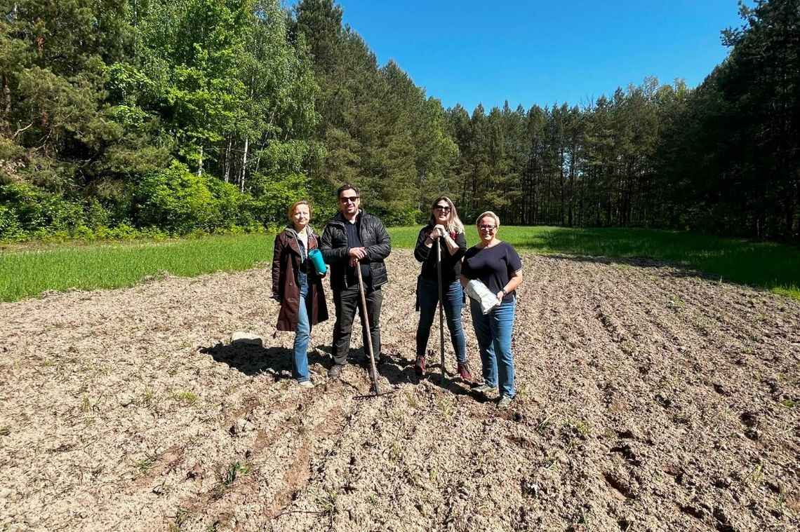B&B HOTELS Polska kontynuuje działania na rzecz pszczół