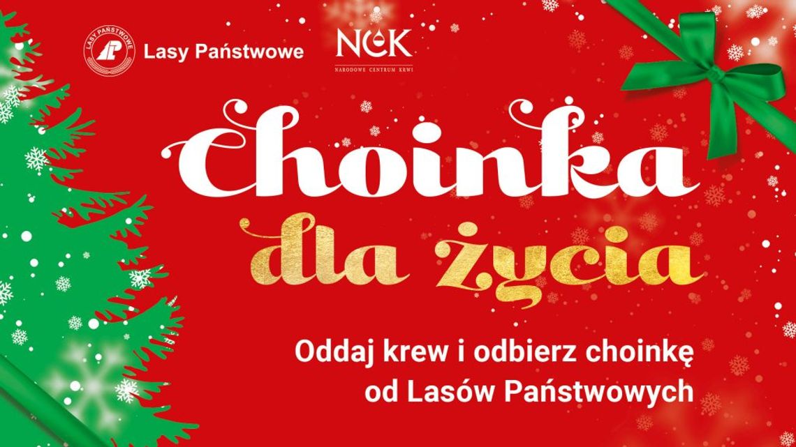 Choinki w podzięce dla krwiodawców