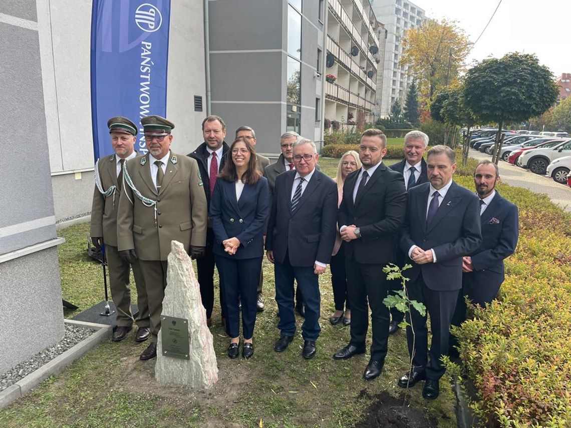 Dąb symbolem niepodległości śląskiej ziemi