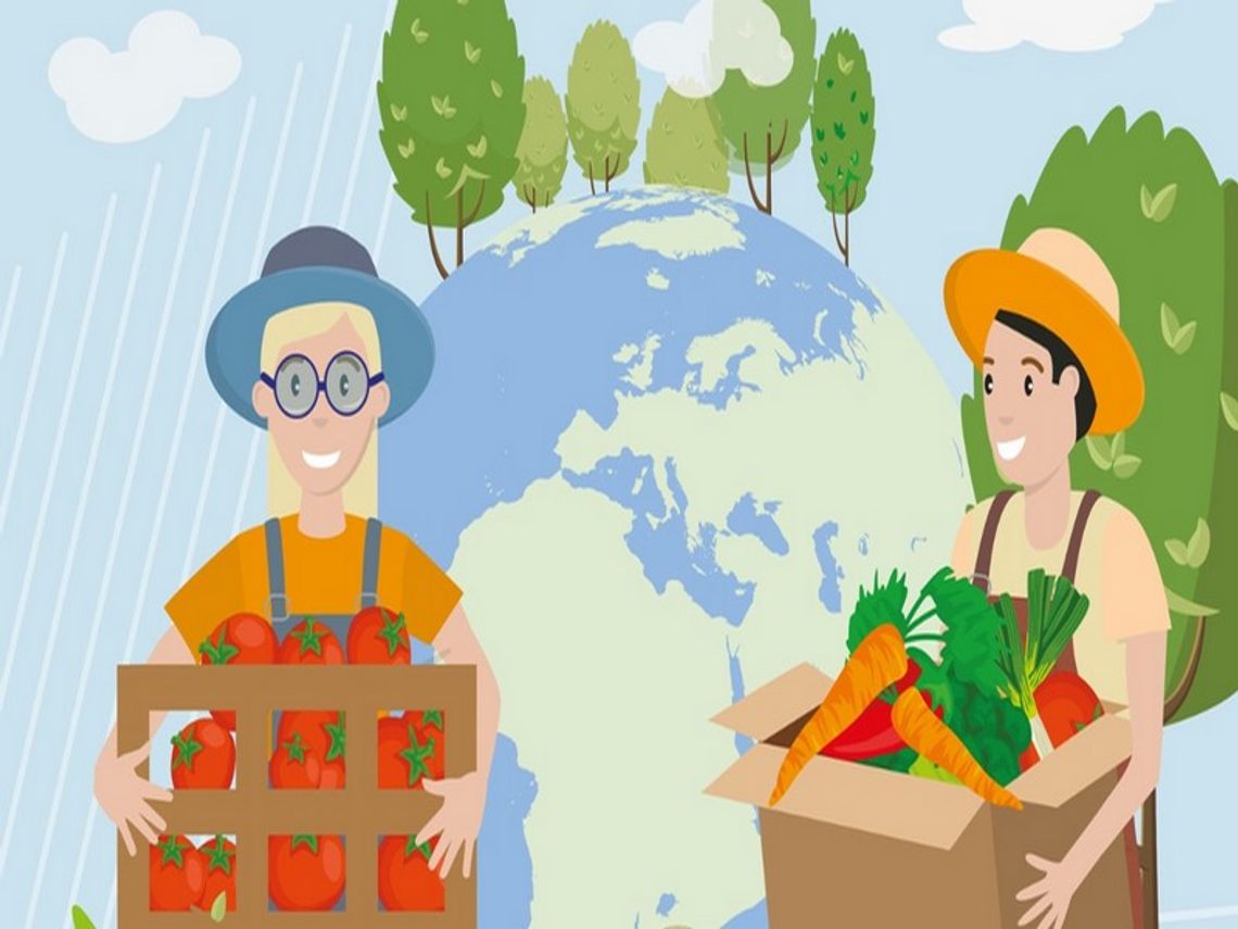 Dwóch na trzech Polaków przyznaje się do marnowania jedzenia - raport Banków Żywności