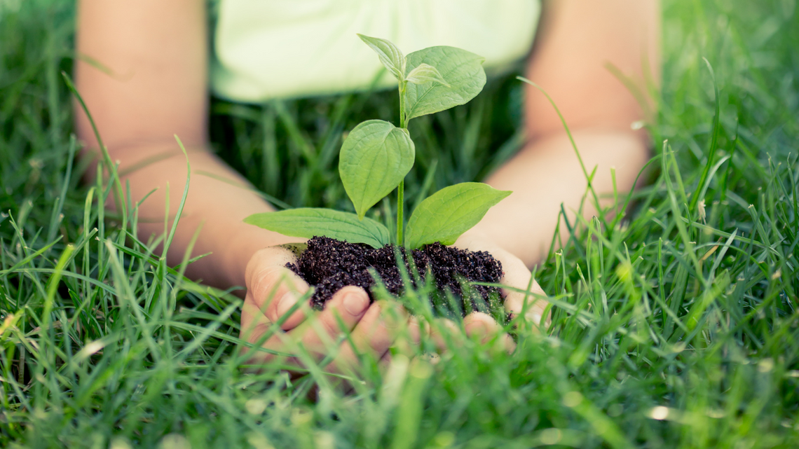 Dzień Długu Ekologicznego – Ziemia nie nadąża za naszym tempem. Sprawdź, co możesz zmienić