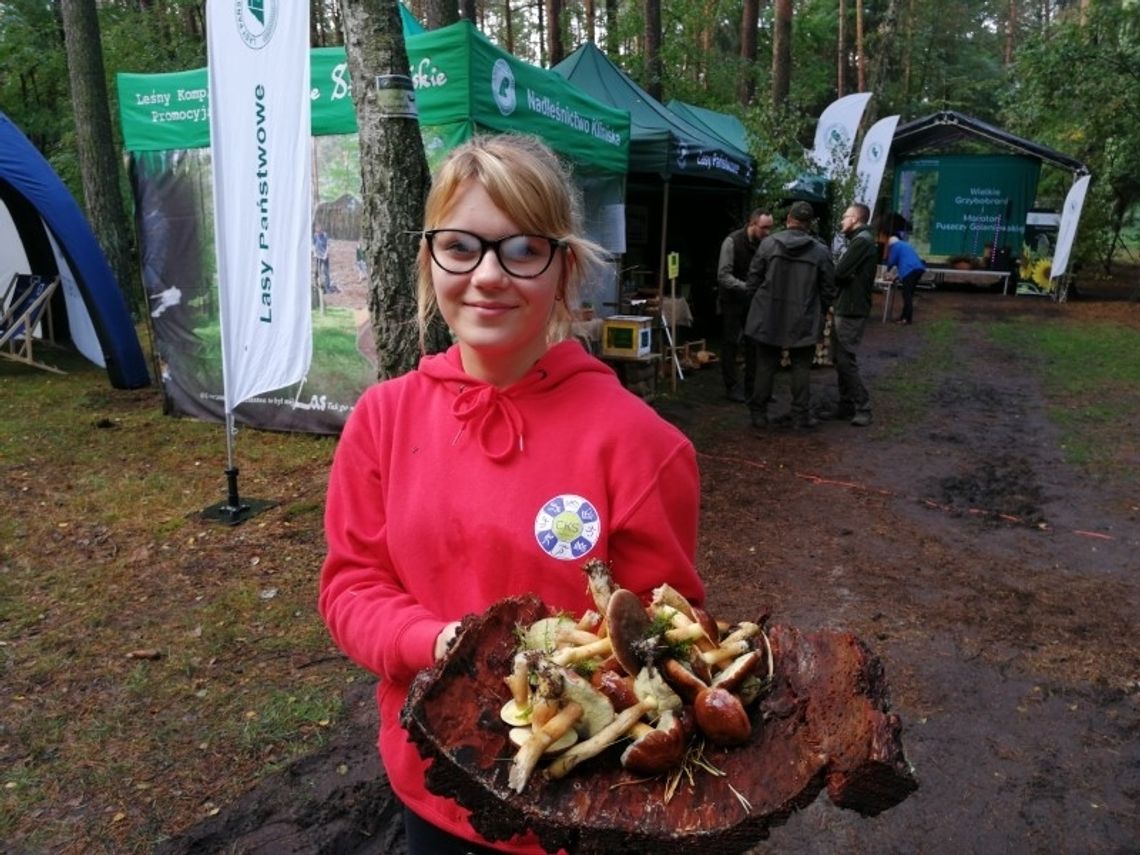 Grzybobranie i maraton  w Kliniskach