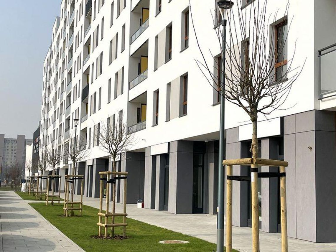 Jak oferta nowych mieszkań zmieniała się w ciągu ostatniego roku