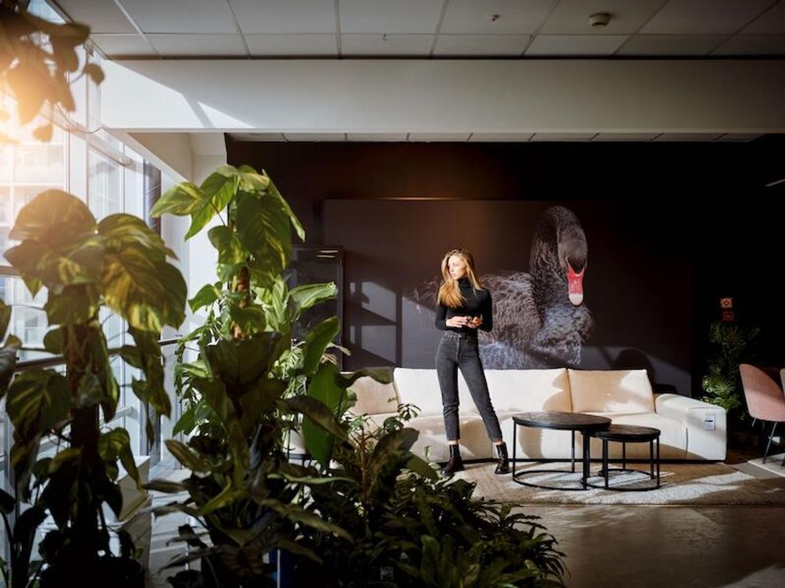 Jak zaaranżować wnętrze 2026 roku w 6 krokach?