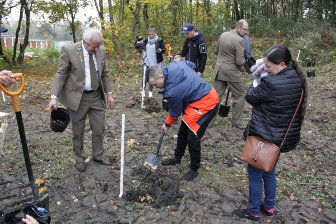 "Jedno dziecko, jedno drzewo" – już wkrótce nowa edycja