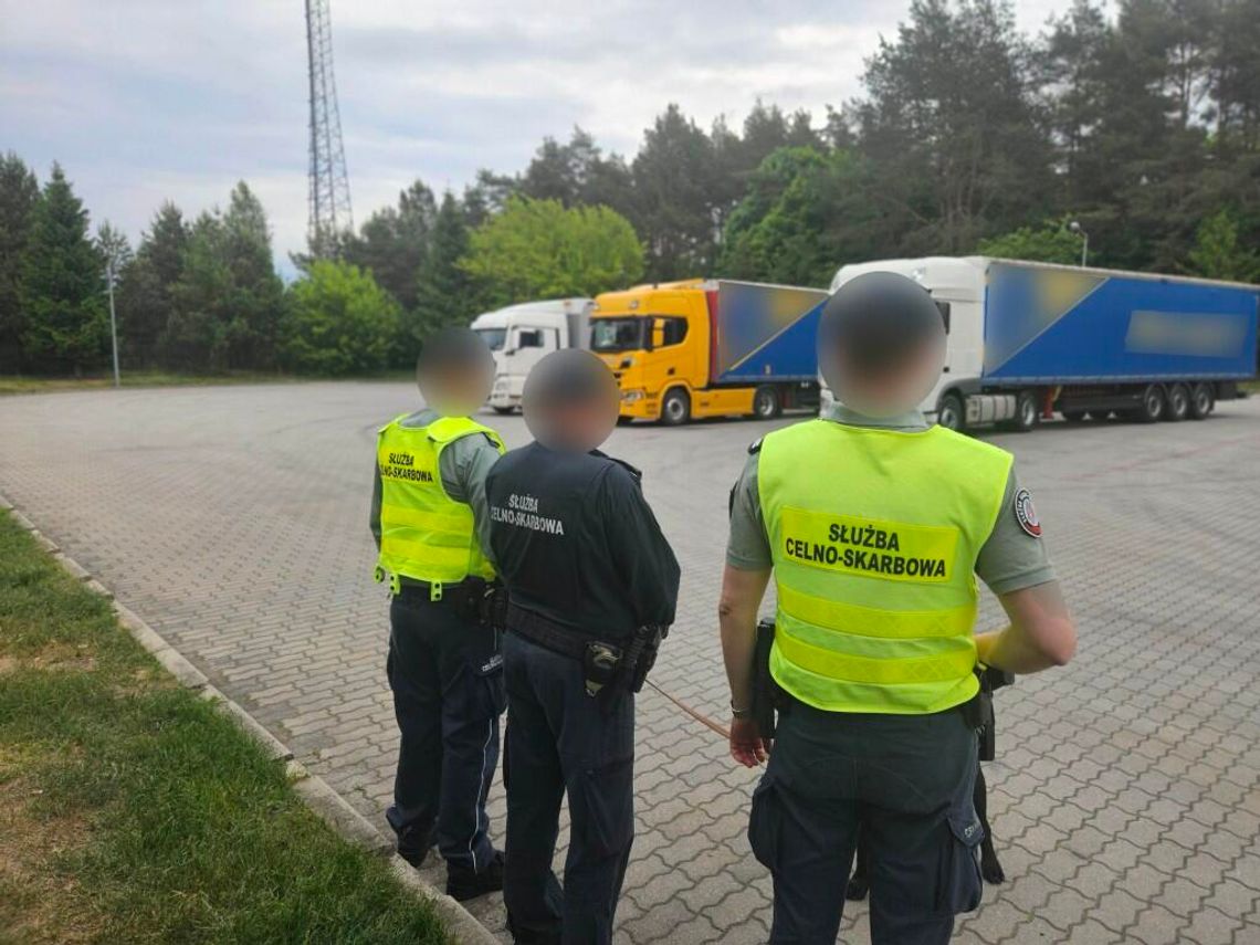 KAS i Policja zabezpieczyły ponad 100 kg kokainy ukrytej w naczepie ciężarówki