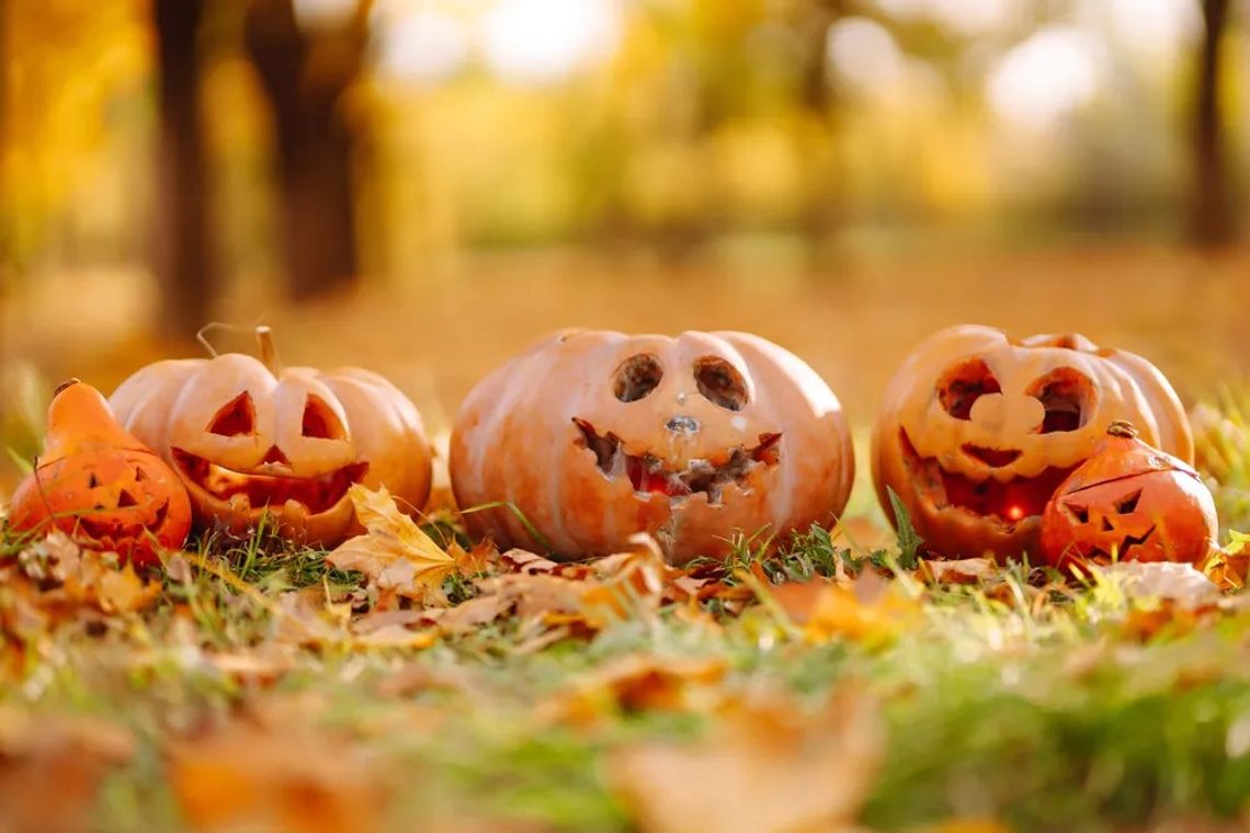 Kulinarne hity na Halloween: 3 przepisy na magiczne potrawy z dynią w roli głównej