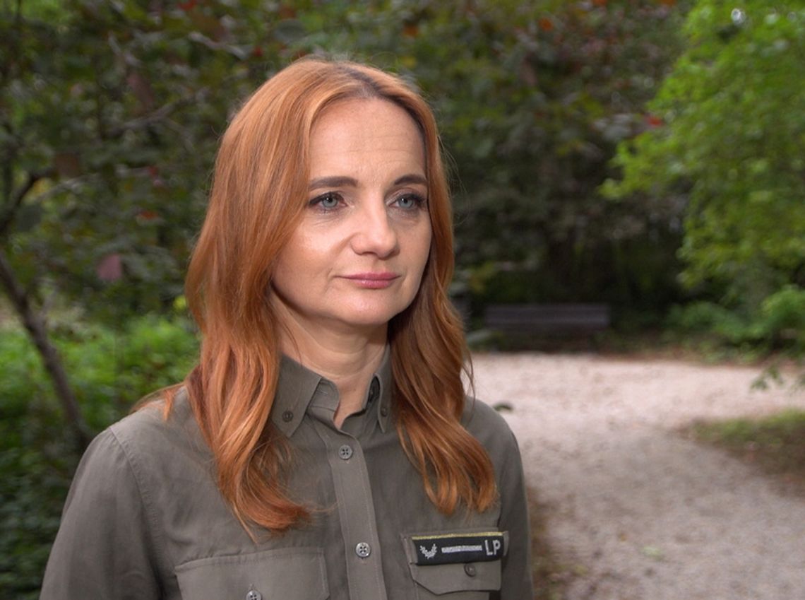 Lasy Państwowe wywiozły w zeszłym roku z lasów 820 tirów śmieci. Kosztowało to 34 mln zł