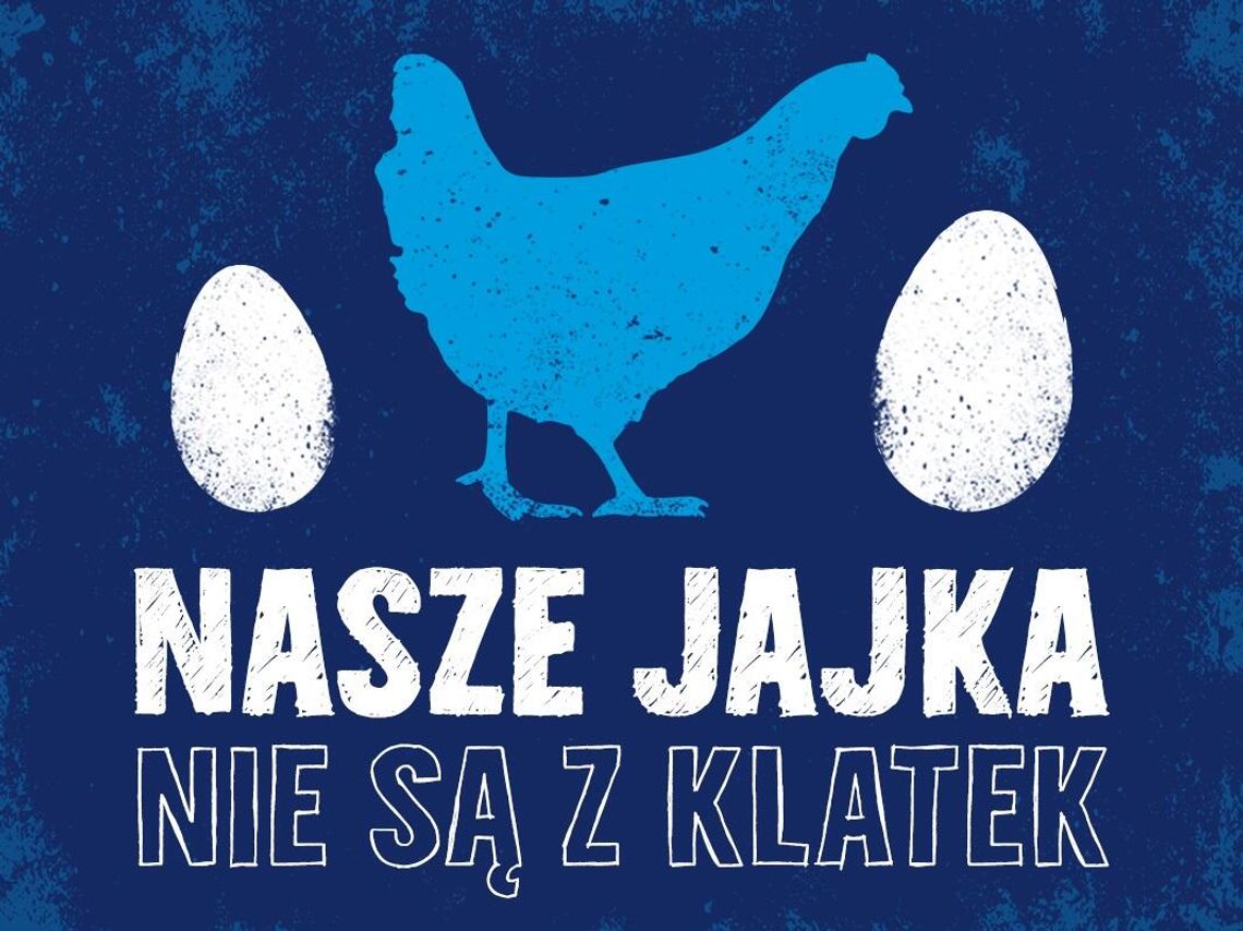 Lisner rezygnuje z jaj z chowu klatkowego - kolejny krok firmy w kierunku zrównoważonego rozwoju