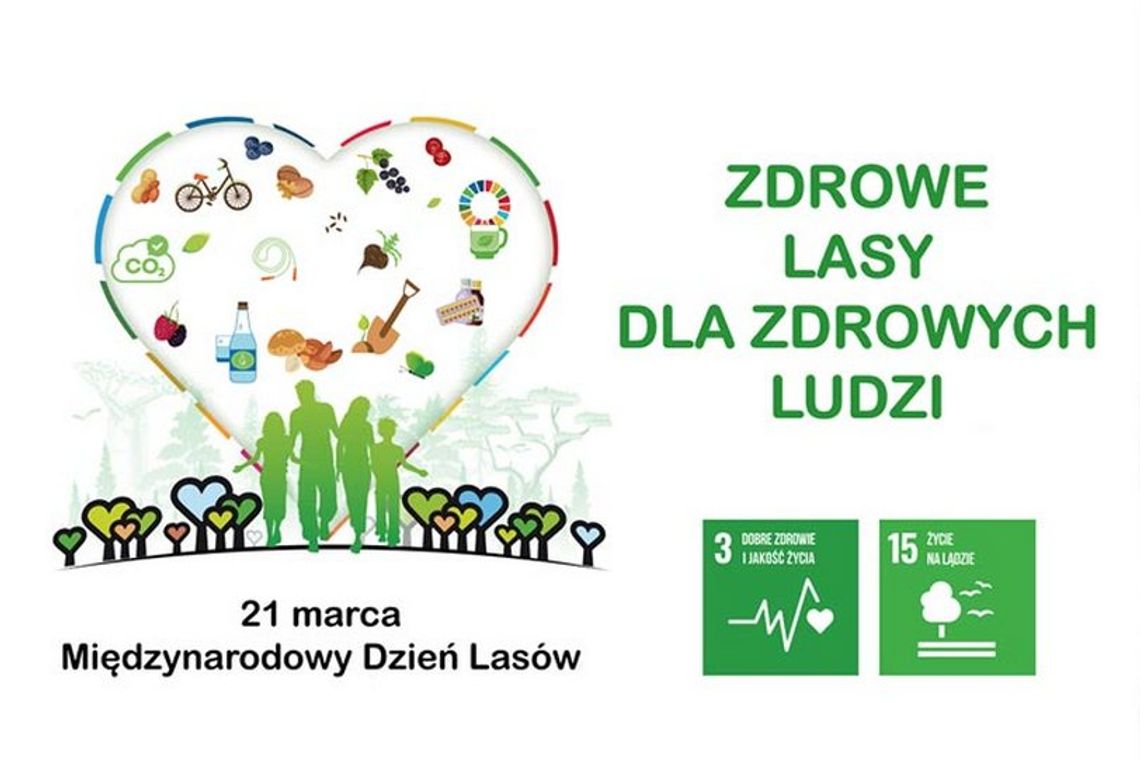 Międzynarodowy Dzień Lasów