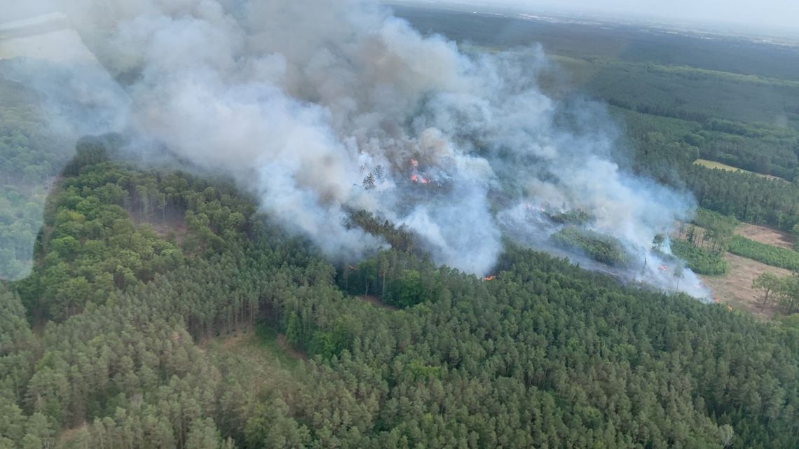 Najwyższy stopień zagrożenia pożarowego na terenie RDLP Szczecin