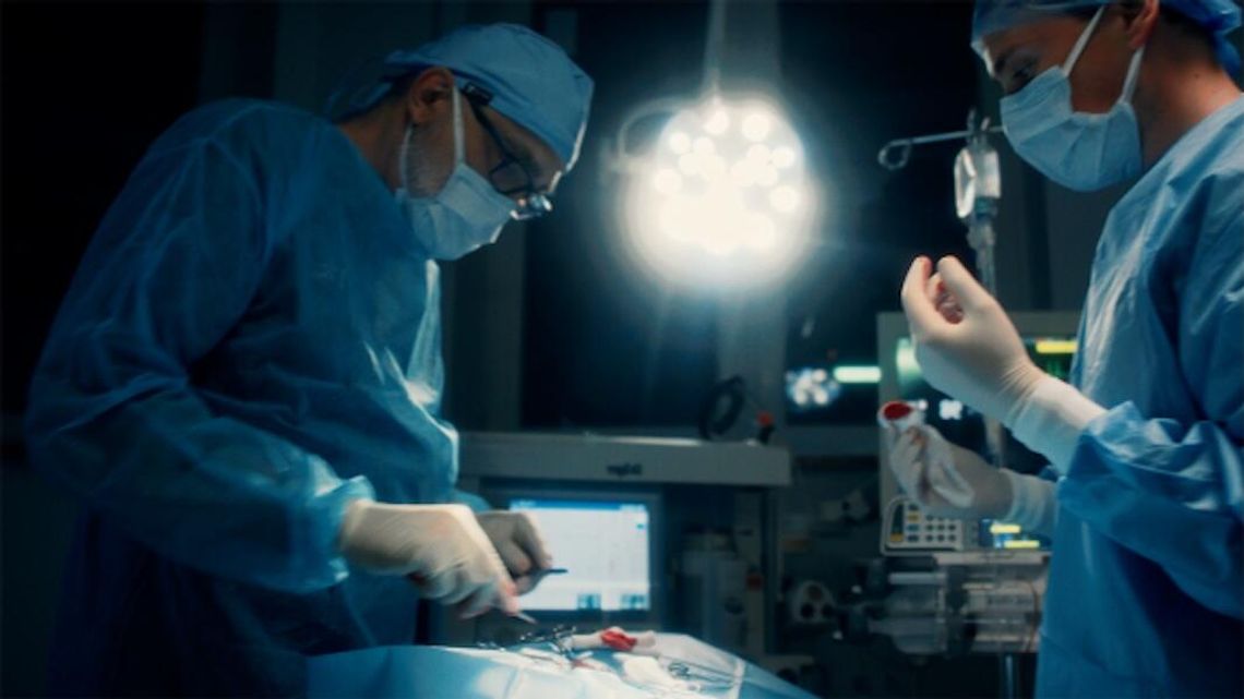 Niezastąpieni – wzruszający film o codziennej pracy lekarzy weterynarii