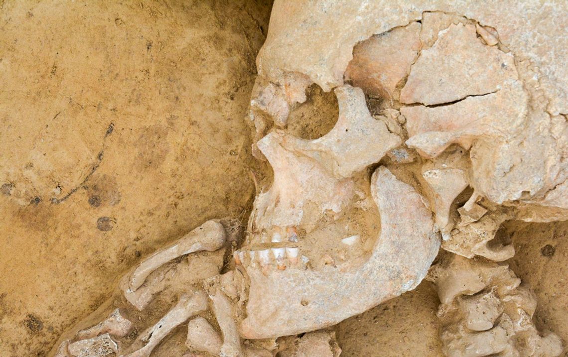 O tajemnicach archeologii w Kornicach i na Zamku Piastowskim