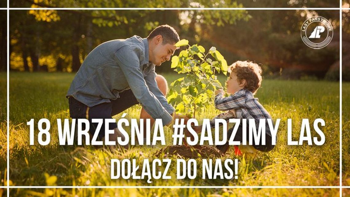 Ogólnopolska akcja sadzenia drzew #sadziMY