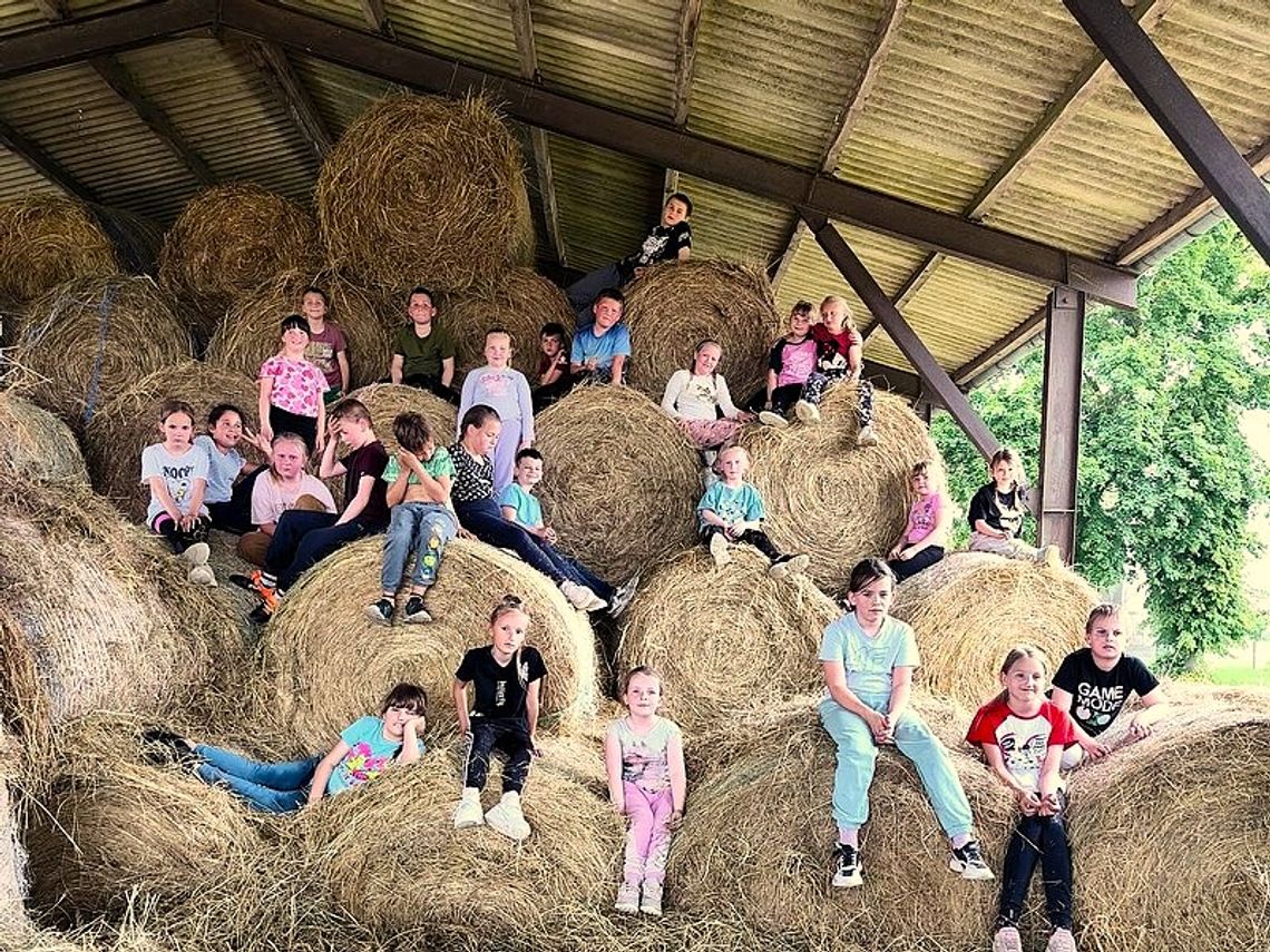 PEŁNA ATRAKCJI WIZYTA UCZNIÓW W GOSPODARSTWIE PANA SŁAWOMIRA MAZURA