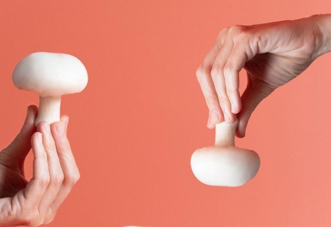 Pieczarka 2030: ekologiczna, lokalna, niezwykła