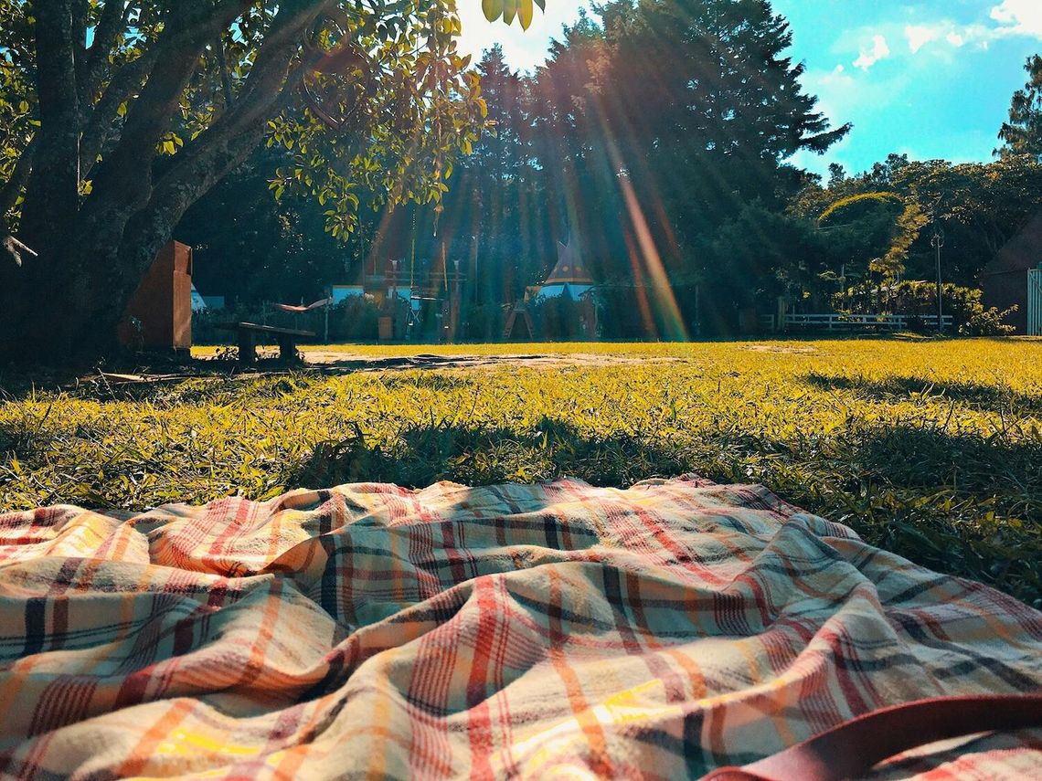 Pikniki wracają do łask. Jak przygotować kosz piknikowy i nie popełnić błędów, które mogą skończyć się mandatem? Pikniki wracają do łask. Jak przygotować kosz piknikowy i nie popełnić błędów, które mogą skończyć się mandatem?