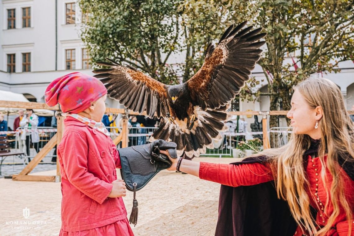 Pokaz sokolniczy w programie Międzynarodowego Turnieju Rycerskiego na raciborskim zamku