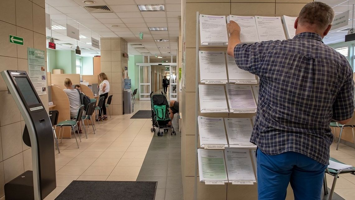 Polacy chętniej niż rok temu zakładają jednoosobowe firmy, ale szału nie widać. Statystyki „ratują” Ukraińcy