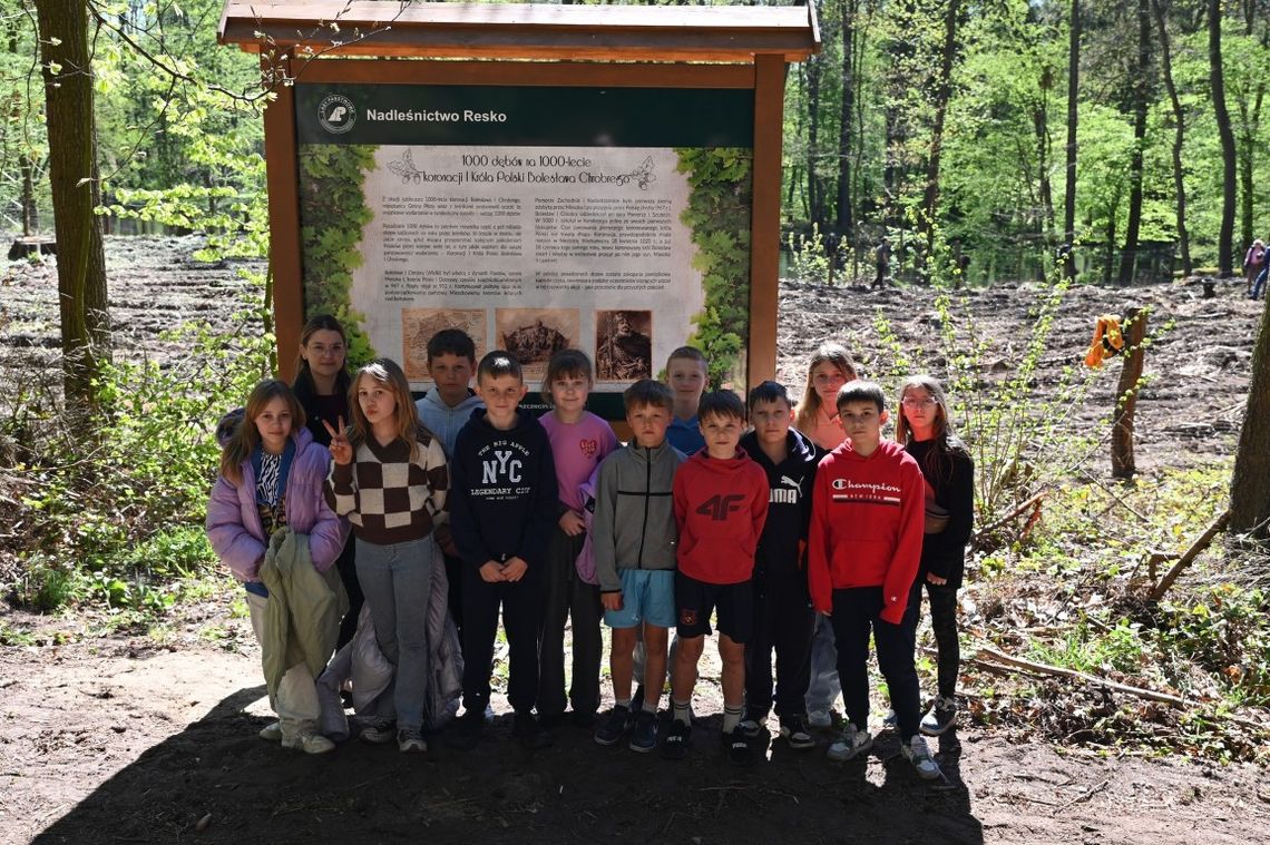 Posadzenie 1000 dębów z okazji 1000-lecia koronacji Króla Polski Bolesława Chrobrego!