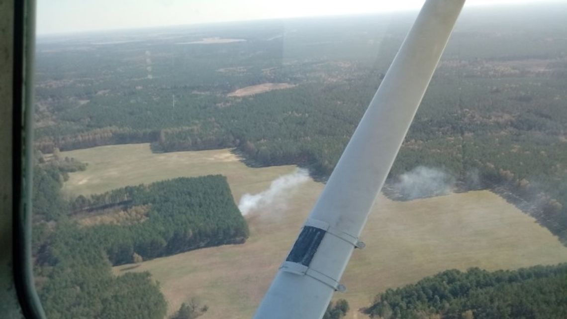 Pożary w lesie:  Leśnicy latają samolotami  