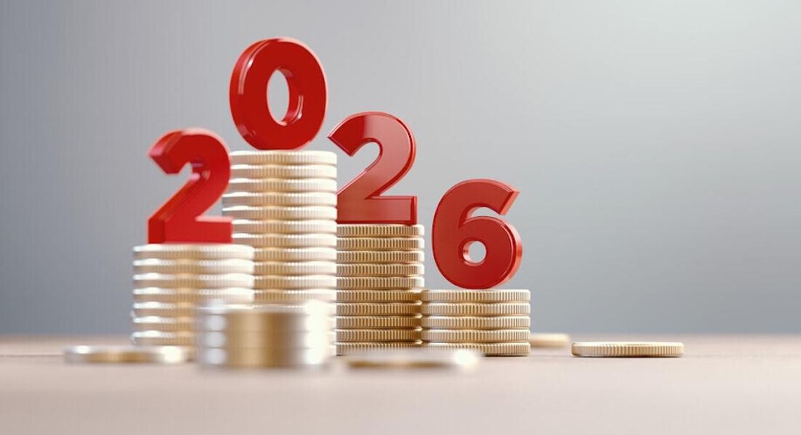 Prawo.pl: przedsiębiorcy mają czas do 20 lutego, by zdecydować, jak chcą się rozliczać w 2026 r.