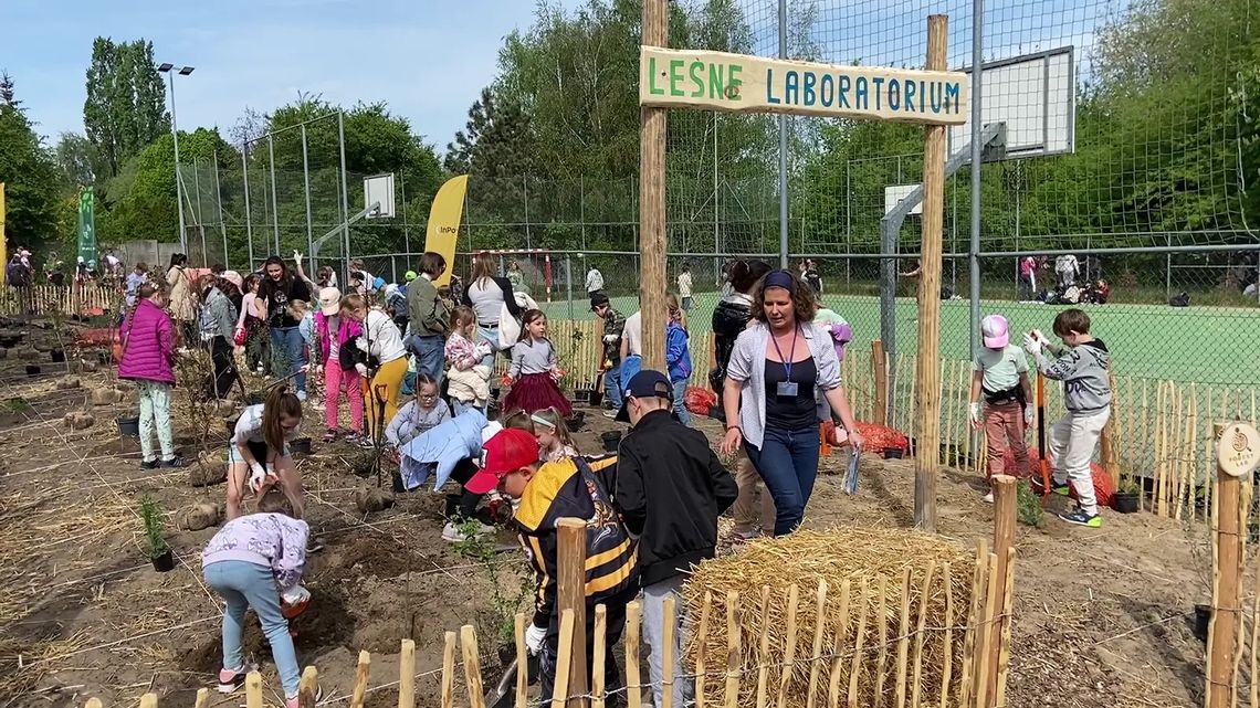 Przebodźcowani uczniowie? Szkoła posadziła im las