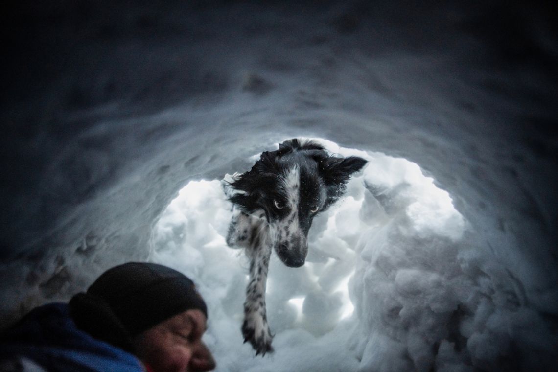 „Przyjaźń Łączy – Wspólnie dla Zwierząt” – klienci Maxi Zoo wspierają psich ratowników GOPR i zwierzęcych terapeutów ze Stowarzyszenia Zwierzęta Ludziom