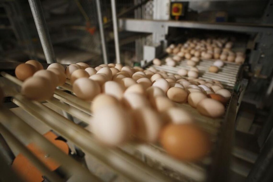 Stokrotka wycofała „trójki" ze sklepów własnych