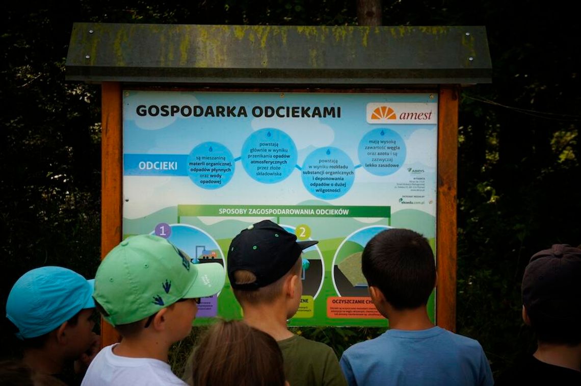 Światowy Dzień Edukacji Ekologicznej. To wiedza, która przekłada się na codzienne decyzje