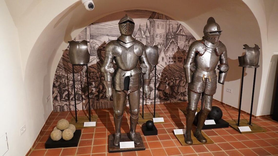 Światowy Dzień Kota – zbiórka karmy na Zamku