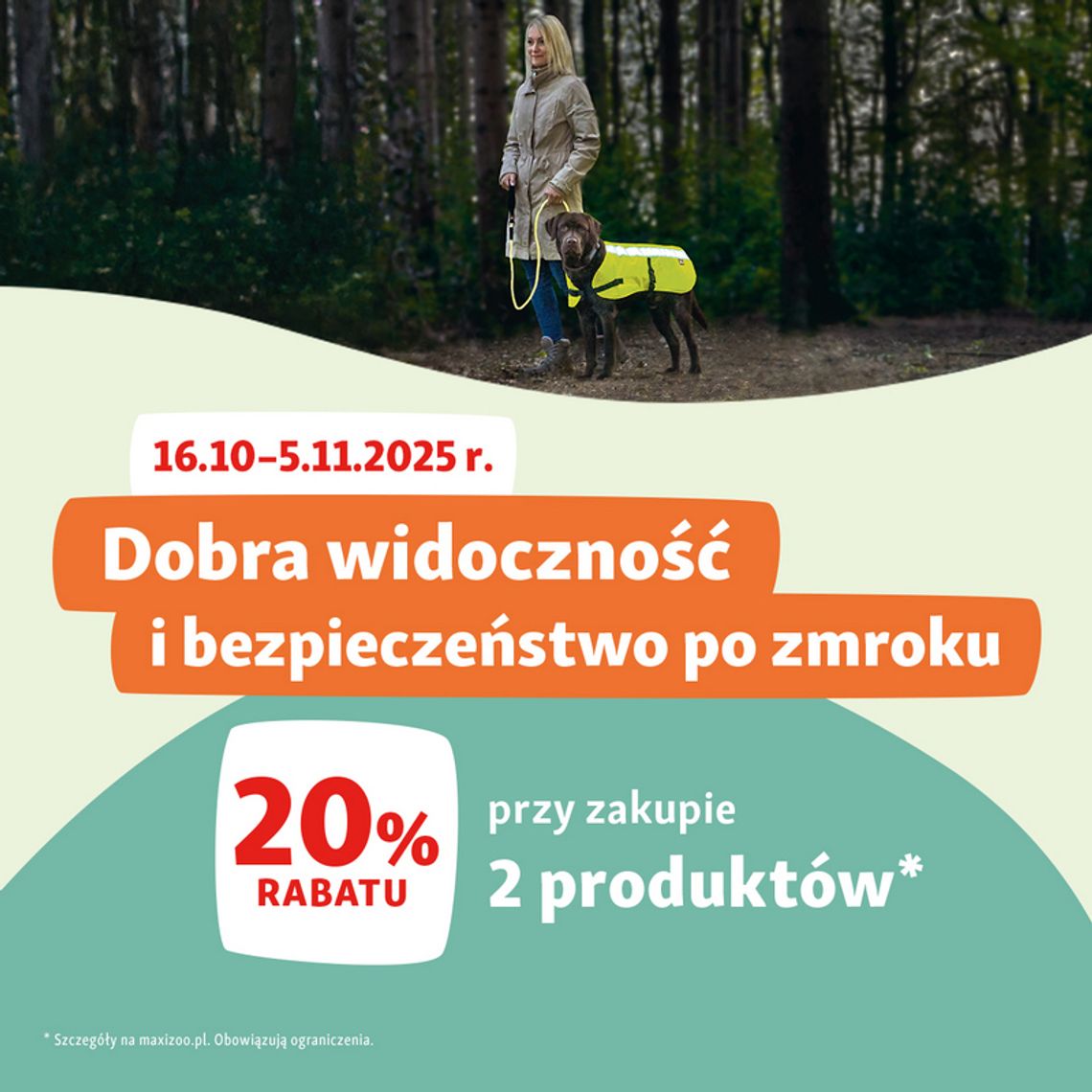 Świeć przykładem! Bezpieczne spacery z pupilem po zmroku