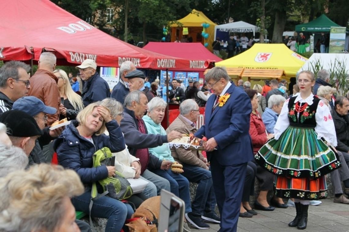 Święto Plonów w Gryficach