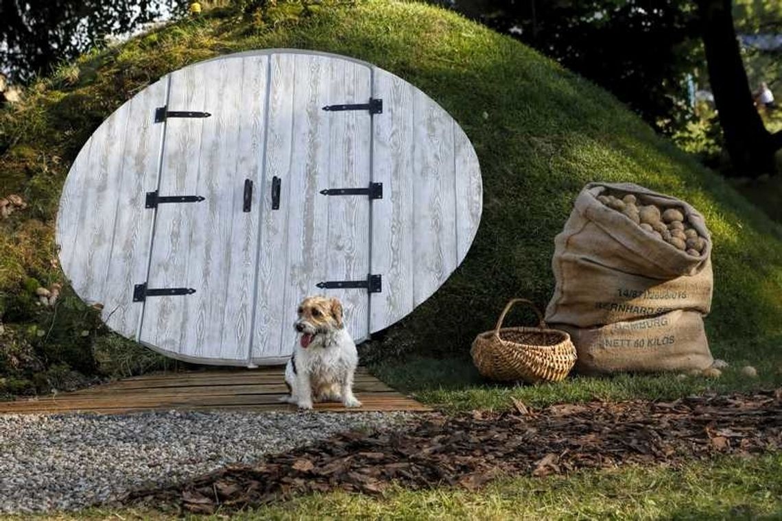 The Shire Cellar – piwniczka ogrodowa, która zachwyci najbardziej wymagających