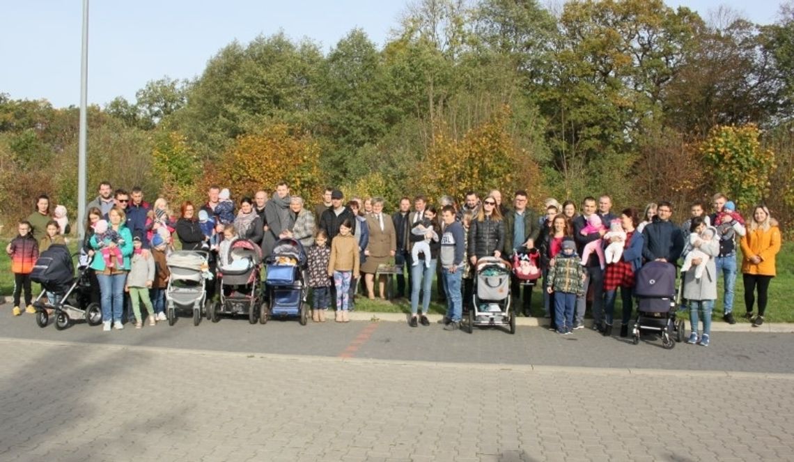 W Płotach posadzono 31 drzewek w ramach akcji „Jedno dziecko - jedno drzewo”