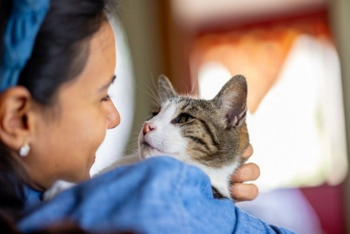 W sytuacjach stresowych wolimy spędzać czas ze swoimi zwierzętami